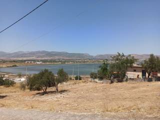 Η ΘΕΑ ΑΠΟ ΤΟ ΟΙΚΟΠΕΔΟ