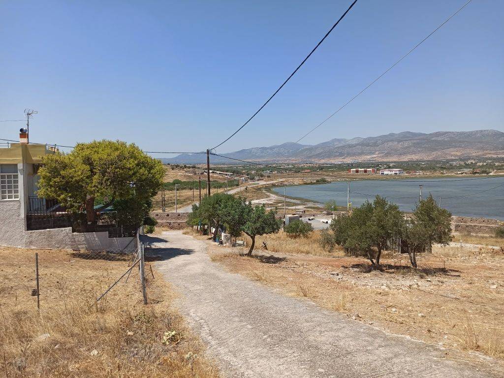 ΠΡΟΣΟΨΗ 12 μ. ΣΕ ΟΔΟ ΠΛΑΤΟΥΣ 6 μ.