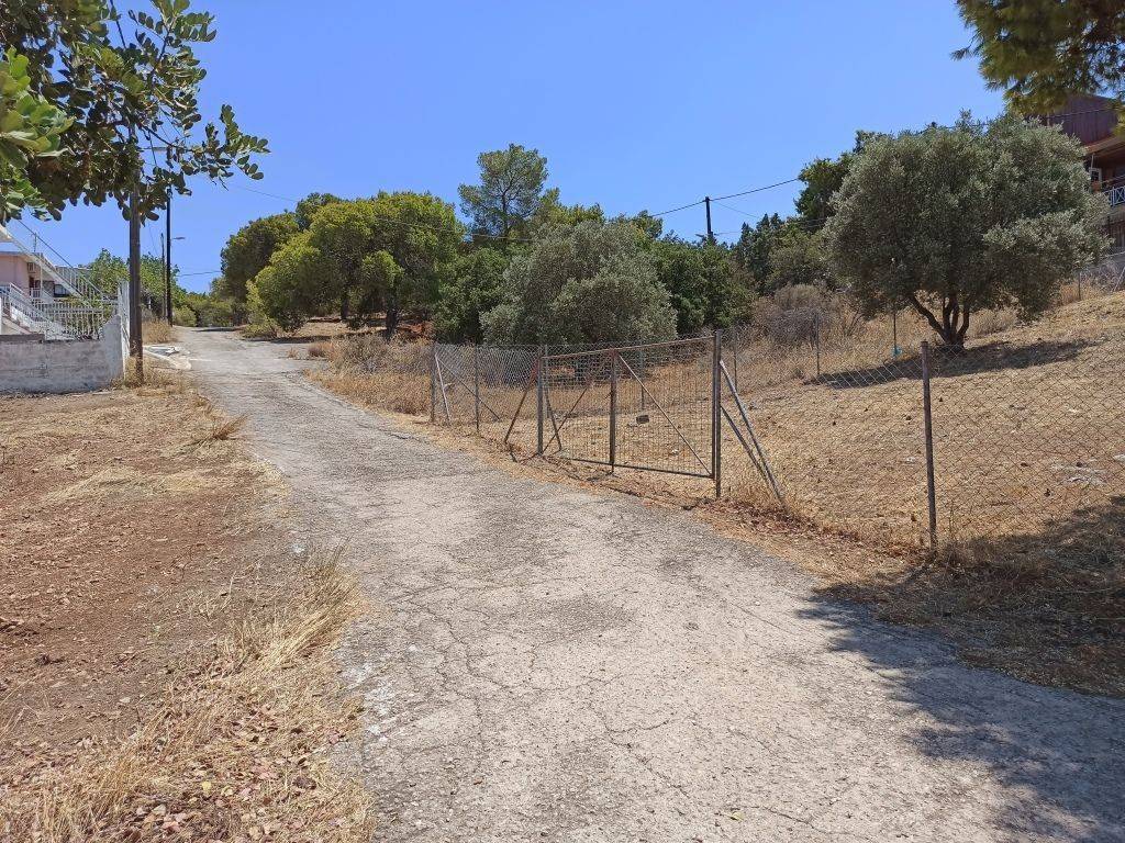 ΠΡΟΣΟΨΗ 12 μ. ΣΕ ΟΔΟ ΠΛΑΤΟΥΣ 6 μ.