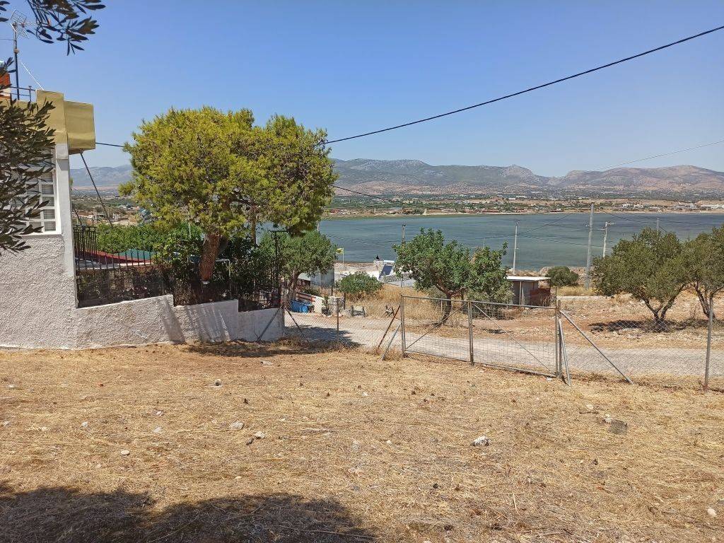 ΤΜΗΜΑ ΤΟΥ ΟΙΚΟΠΕΔΟΥ