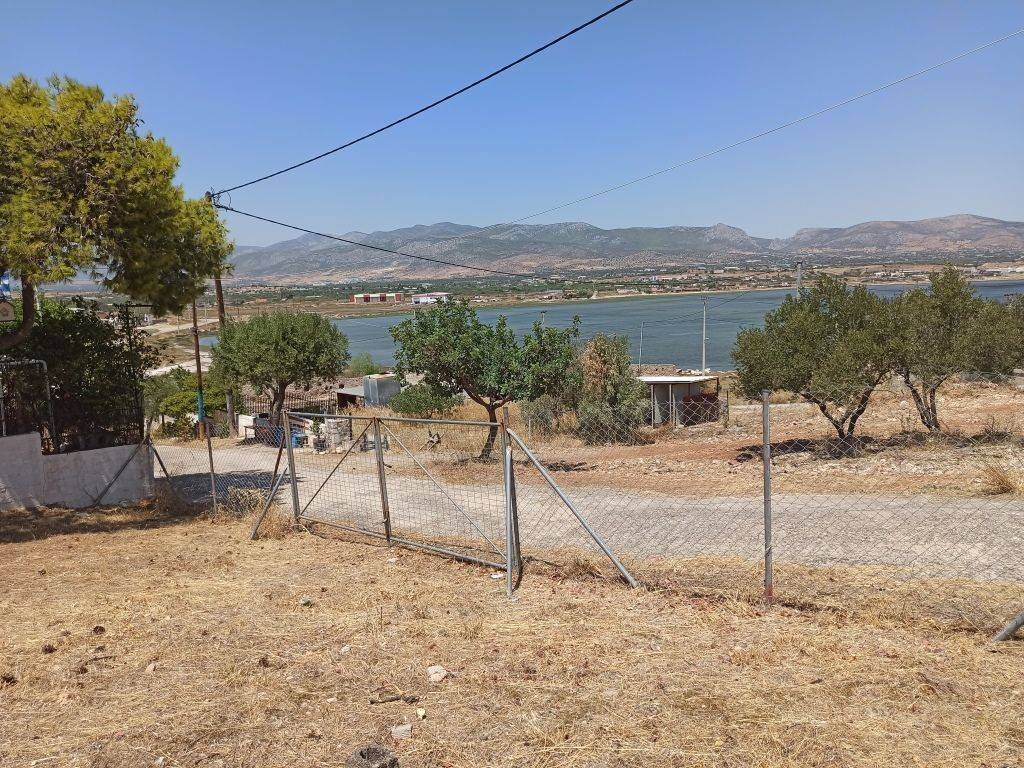 ΤΜΗΜΑ ΤΟΥ ΟΙΚΟΠΕΔΟΥ