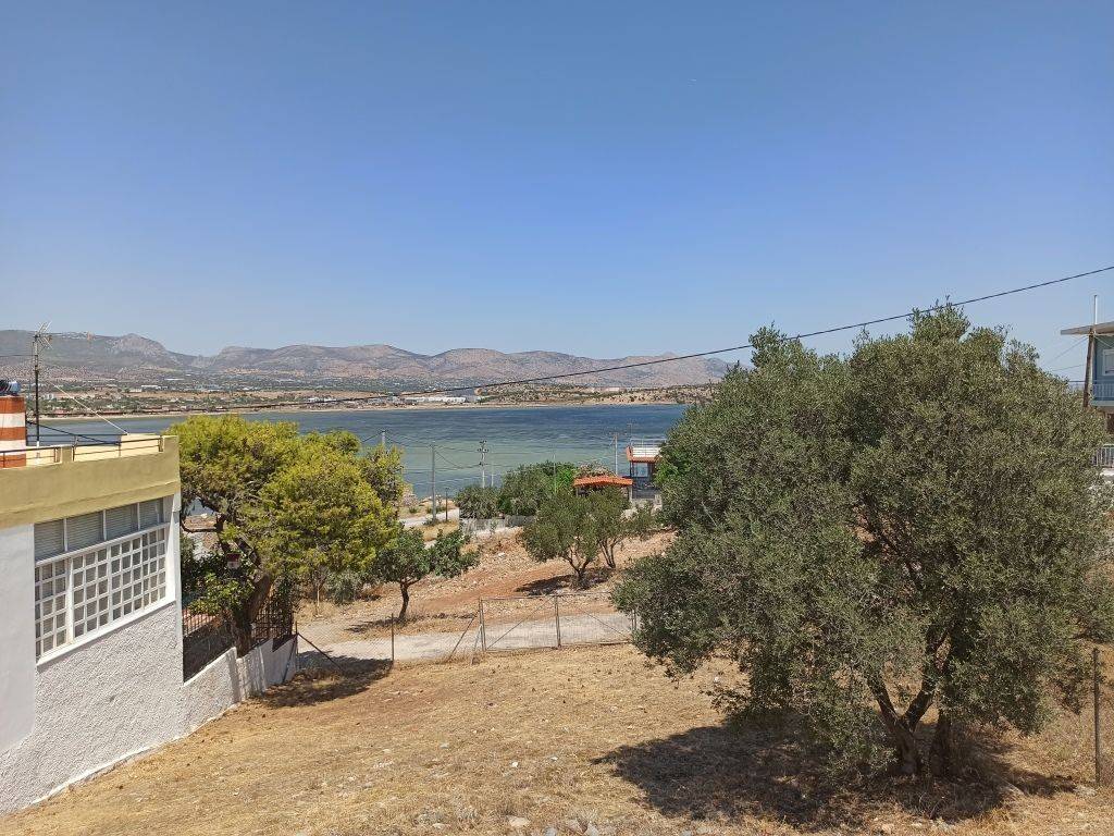 ΤΜΗΜΑ ΤΟΥ ΟΙΚΟΠΕΔΟΥ