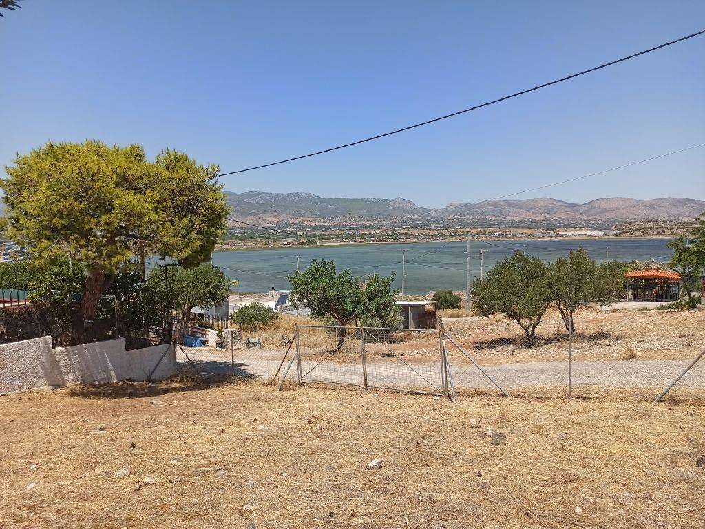 ΤΜΗΜΑ ΤΟΥ ΟΙΚΟΠΕΔΟΥ