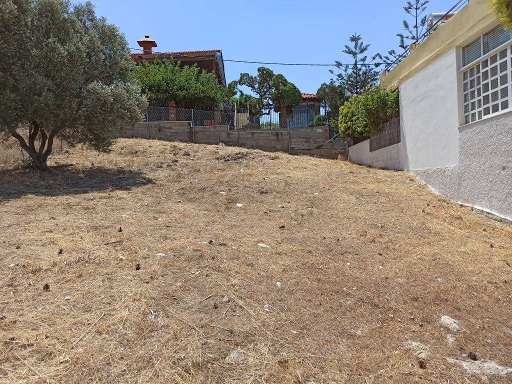 ΤΜΗΜΑ ΤΟΥ ΟΙΚΟΠΕΔΟΥ