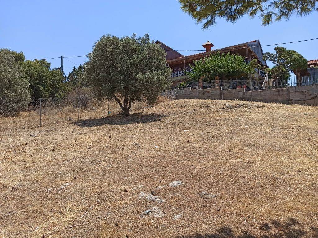 ΤΜΗΜΑ ΤΟΥ ΟΙΚΟΠΕΔΟΥ