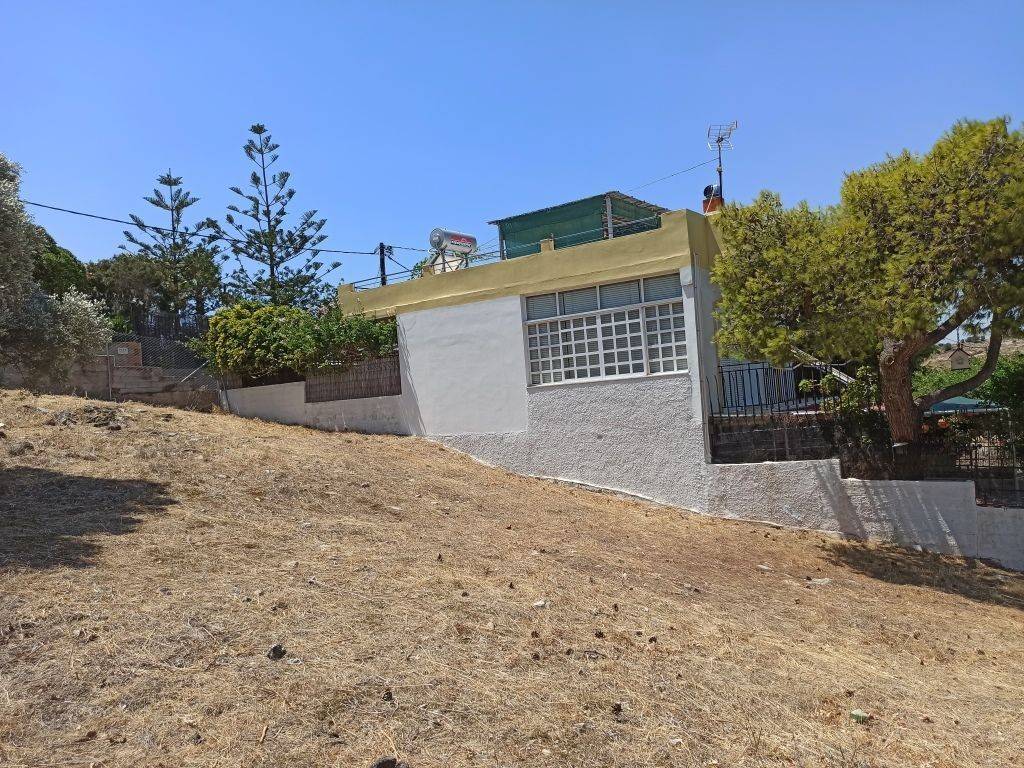 ΤΜΗΜΑ ΤΟΥ ΟΙΚΟΠΕΔΟΥ