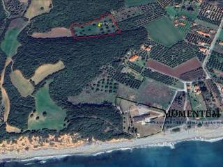 Εξωτερικοι χώροι