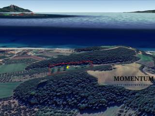 Εξωτερικοι χώροι