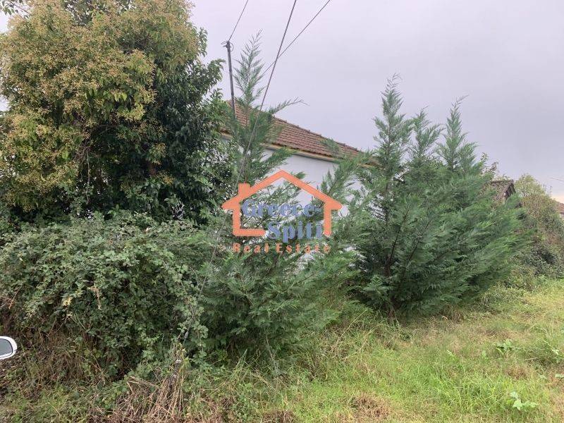 Ύπαρξη ανθρώπου