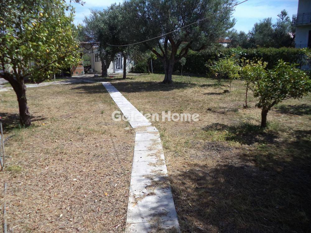 Εξωτερικός Χώρος