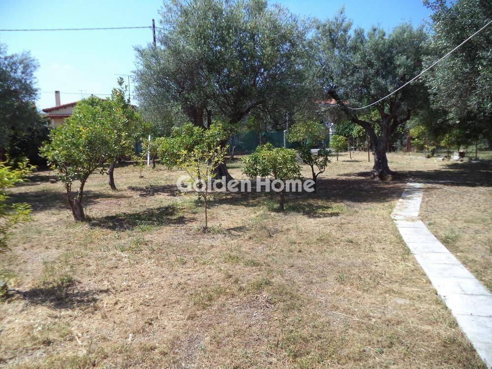 Εξωτερικός Χώρος