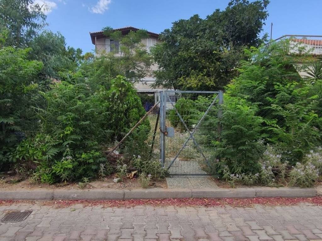 Εξωτερικοι χώροι