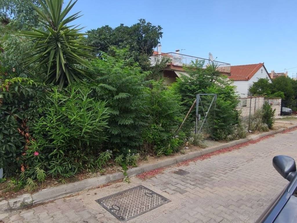 Εξωτερικοι χώροι