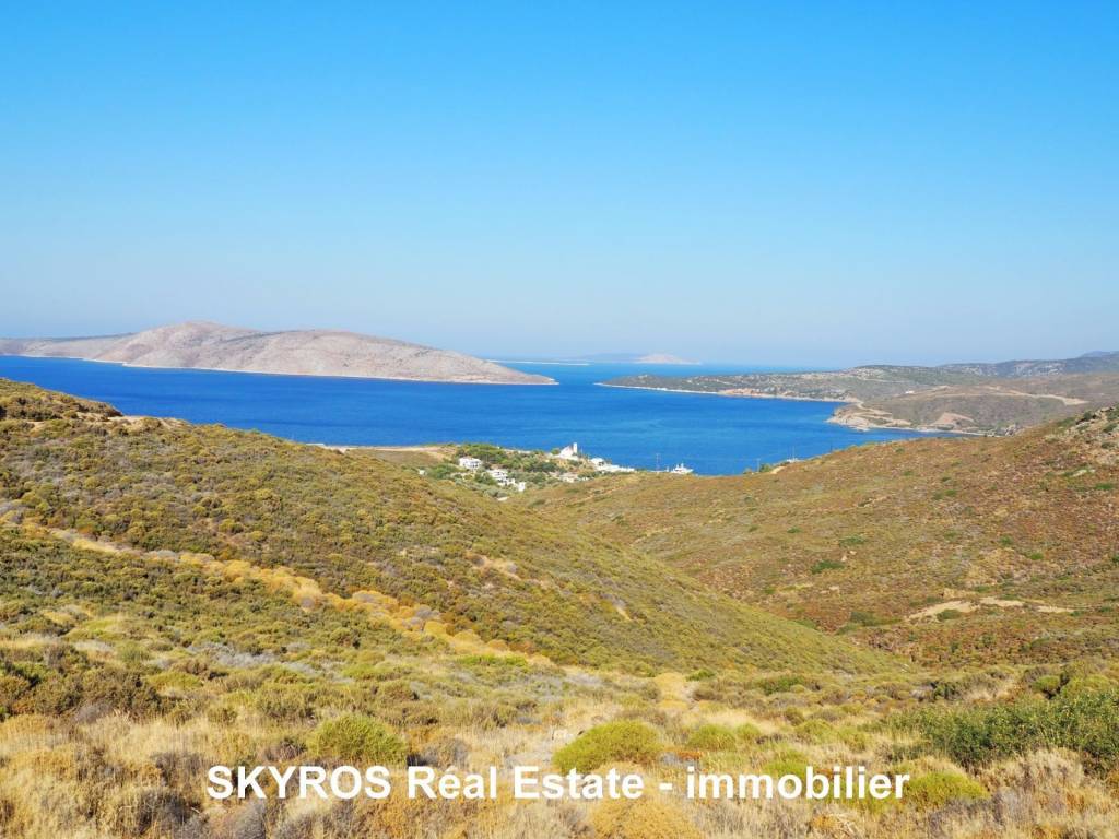 Λιναριά ΣΚΥΡΟΣ