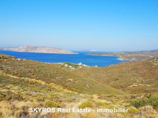 Λιναριά ΣΚΥΡΟΣ