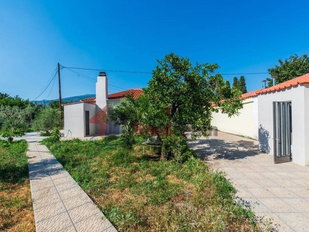 Εξωτερικοι χώροι