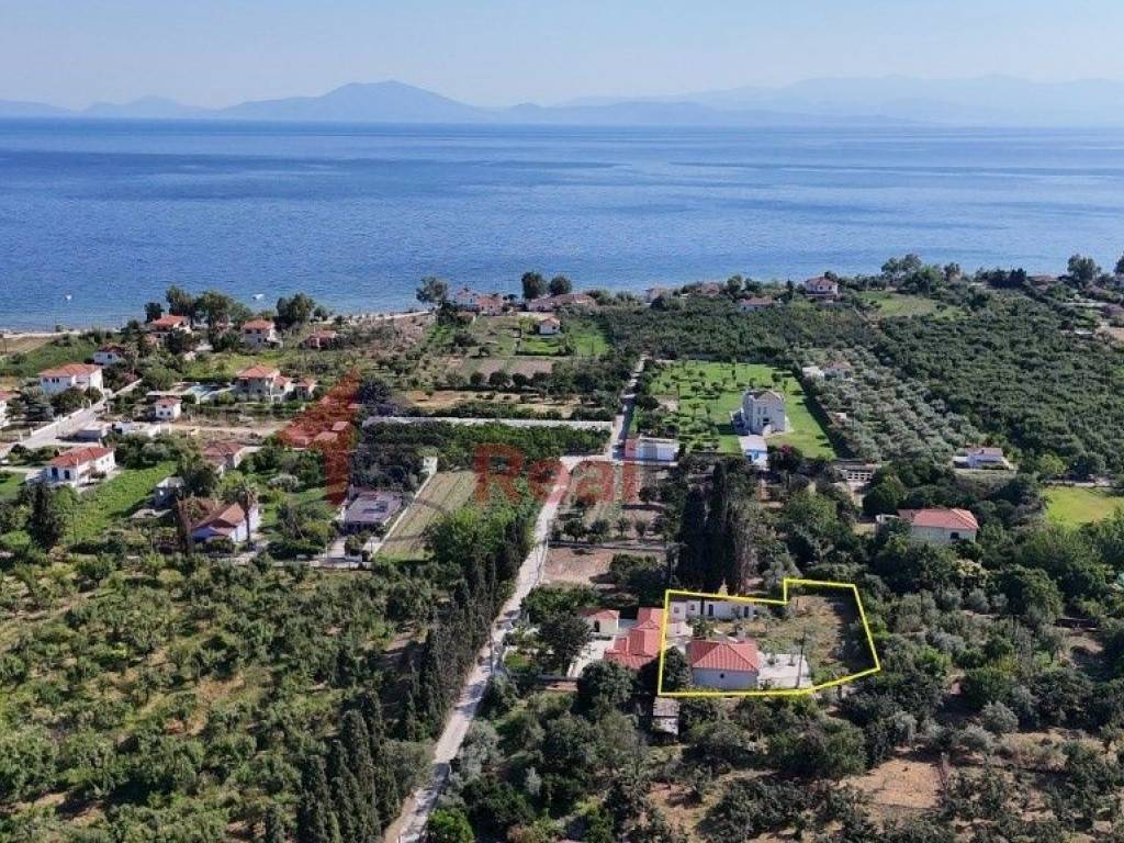 Εξωτερικοι χώροι