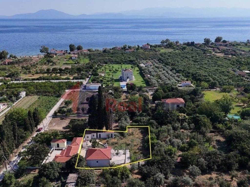 Εξωτερικοι χώροι