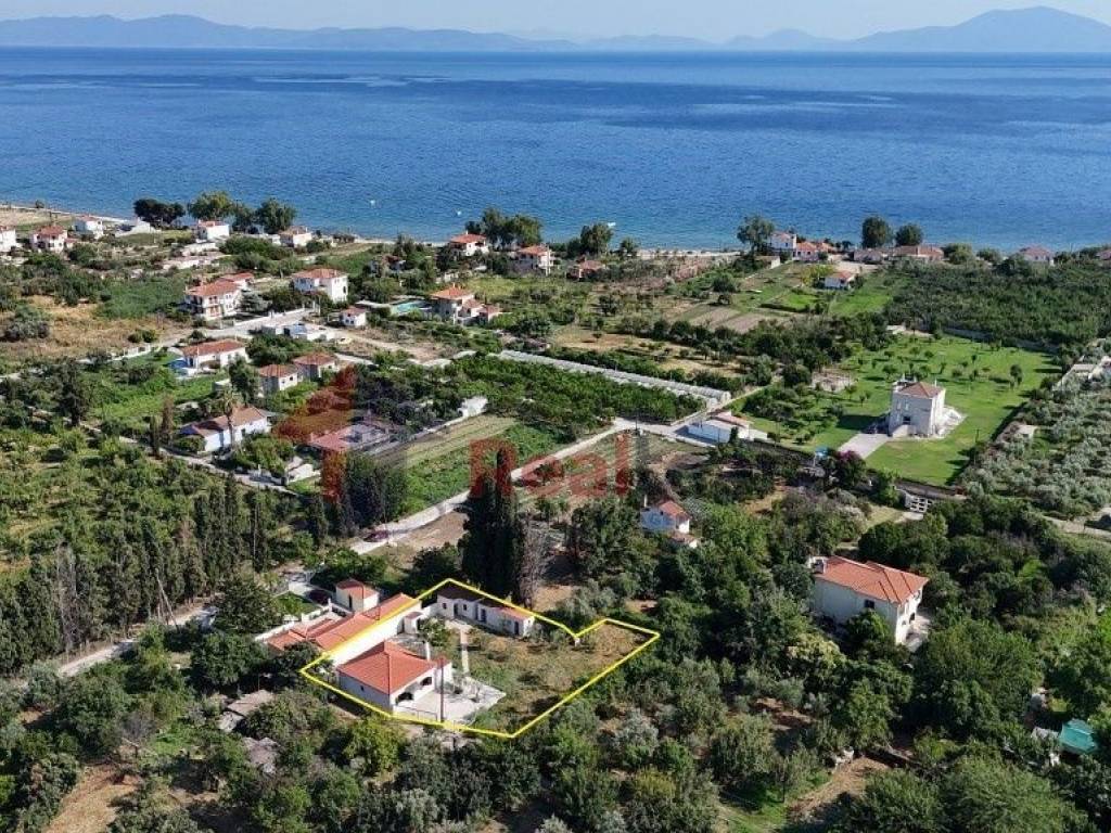 Εξωτερικοι χώροι