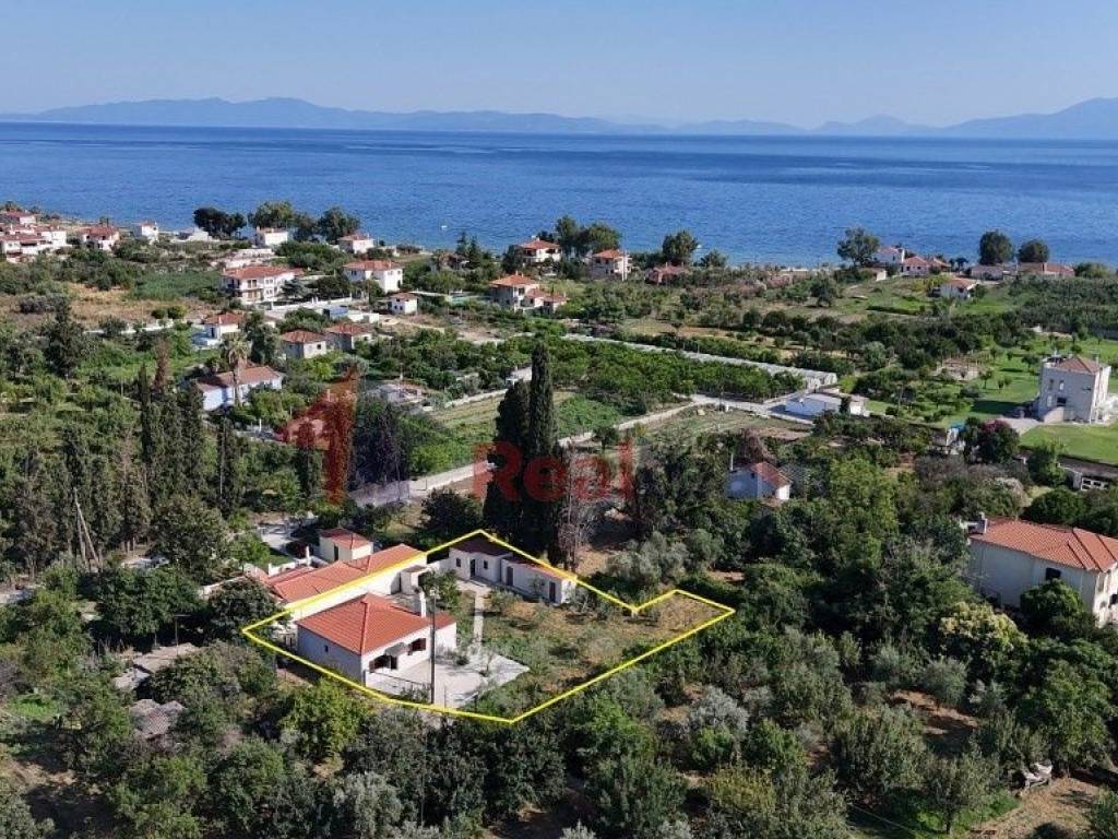 Εξωτερικοι χώροι