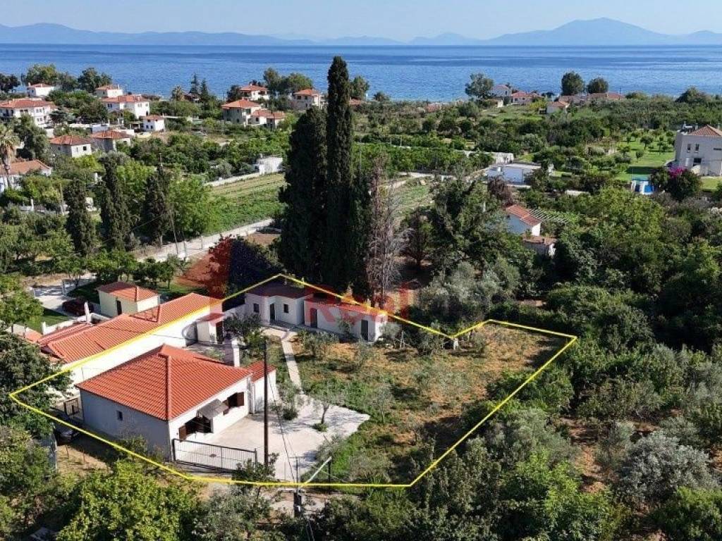 Εξωτερικοι χώροι