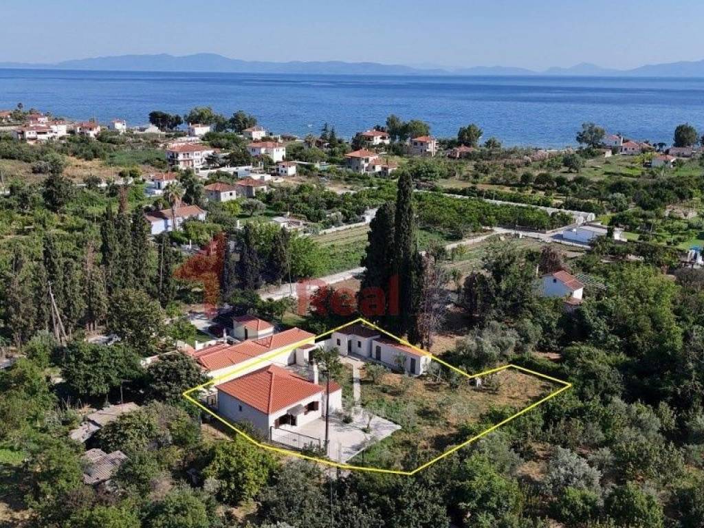 Εξωτερικοι χώροι