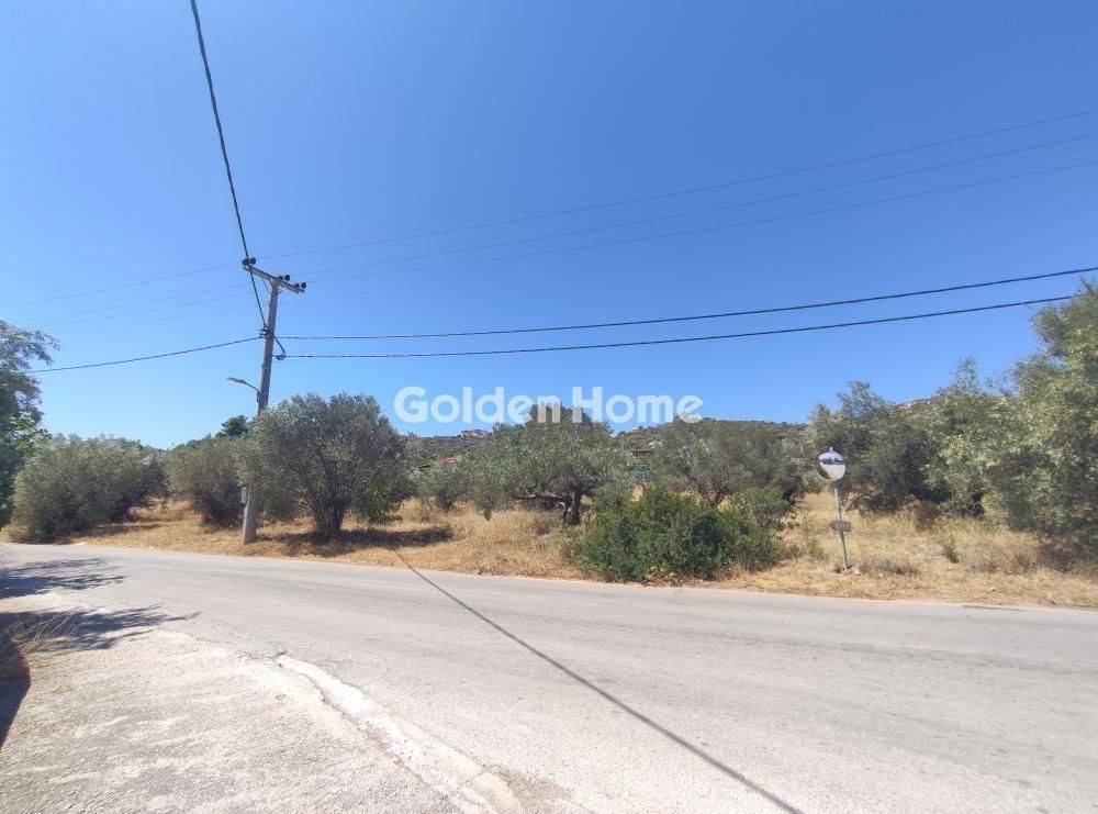 Εξωτερικός Χώρος