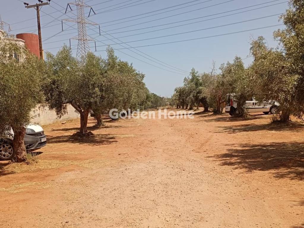 Εξωτερικός Χώρος