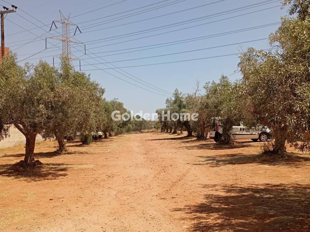 Εξωτερικός Χώρος