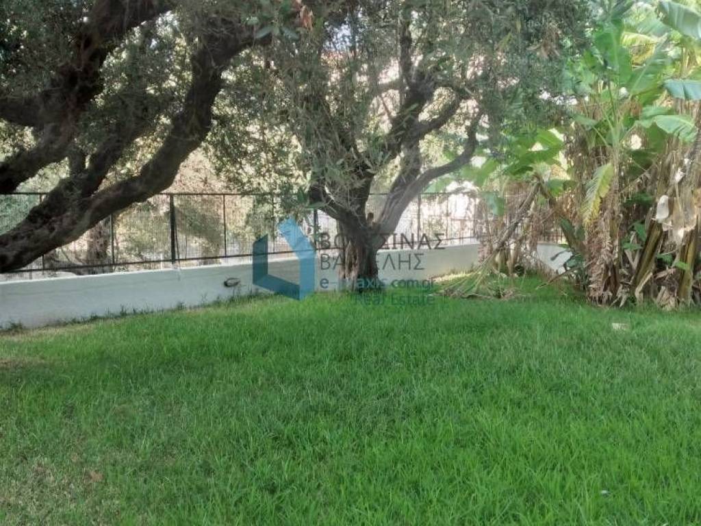 κήπος κοινόχρηστος