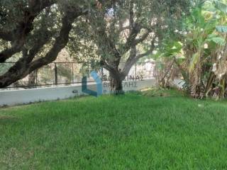 κήπος κοινόχρηστος