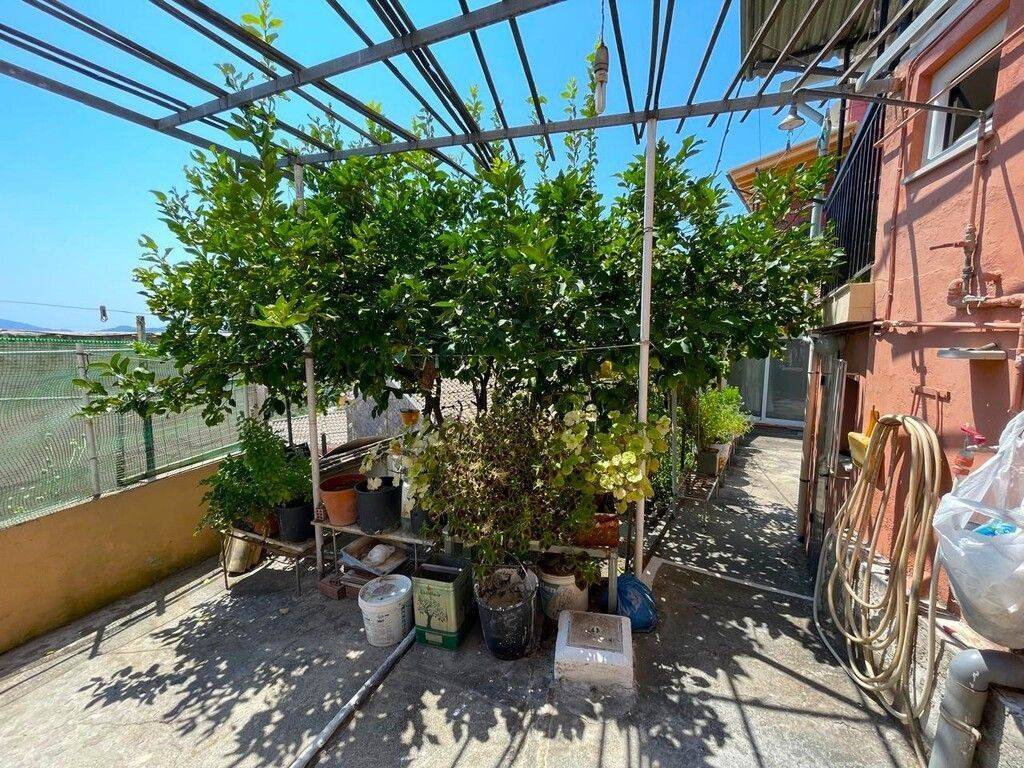 Maisonette - Grekodom 42146|890509