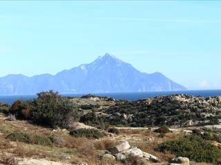 Plot - Grekodom 30939|471788