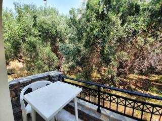 Building - Grekodom 44877|653553