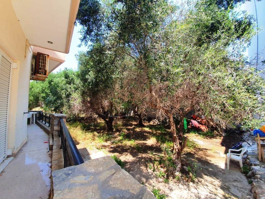 Building - Grekodom 44877|653570