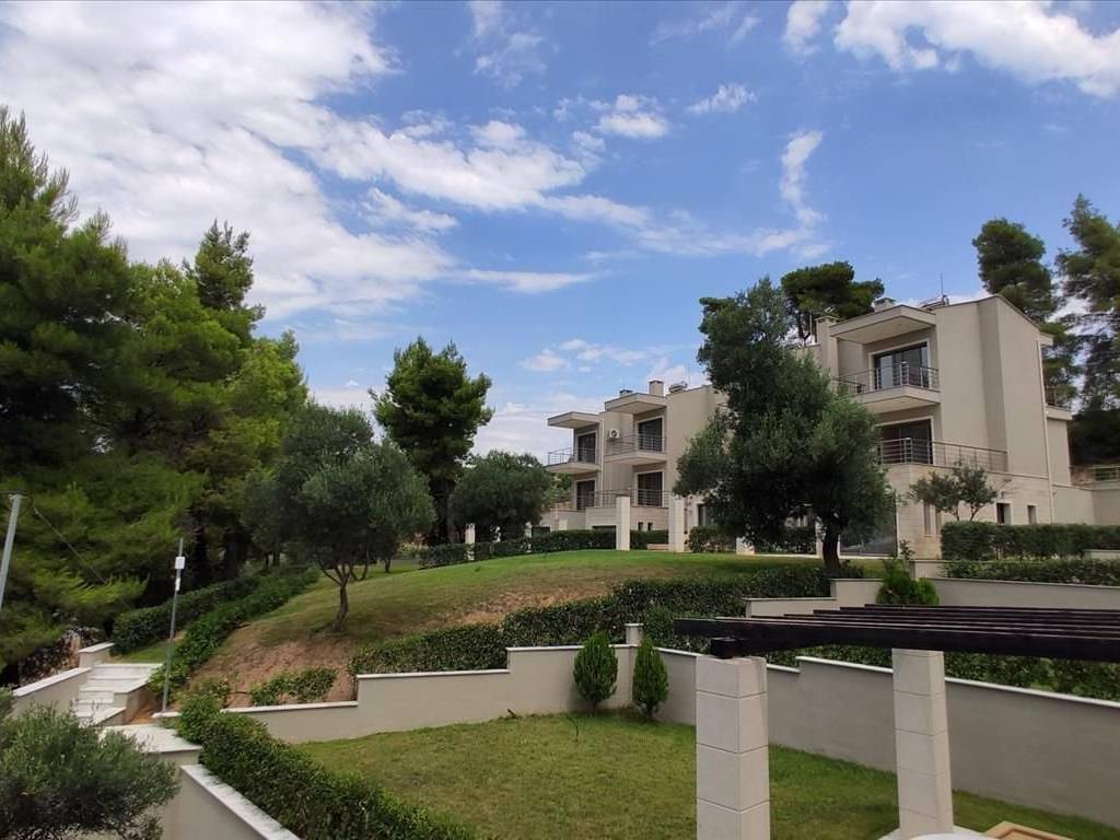 Maisonette - Grekodom 43641|658711