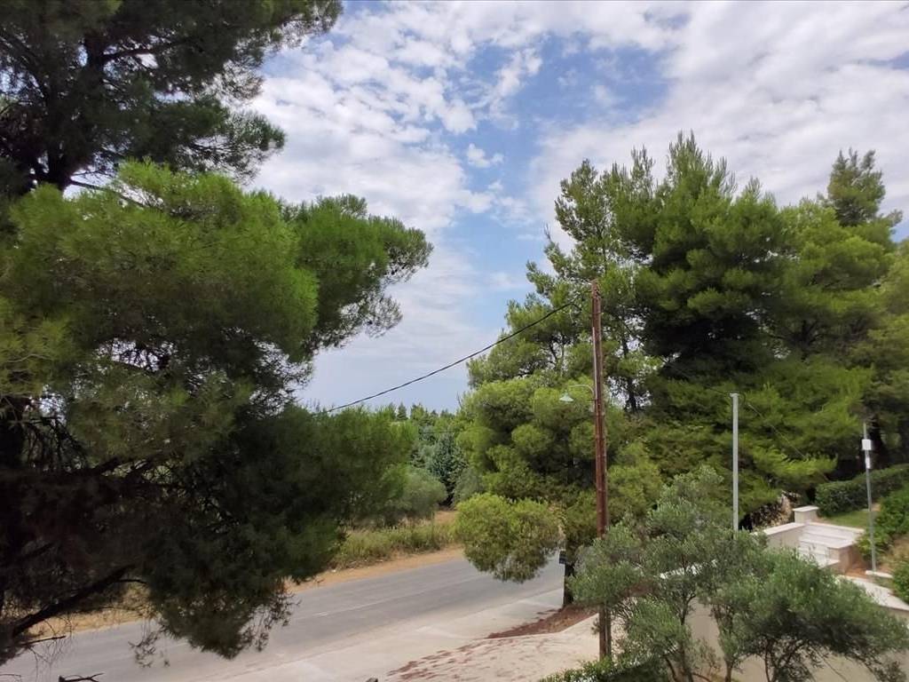 Maisonette - Grekodom 43641|658710