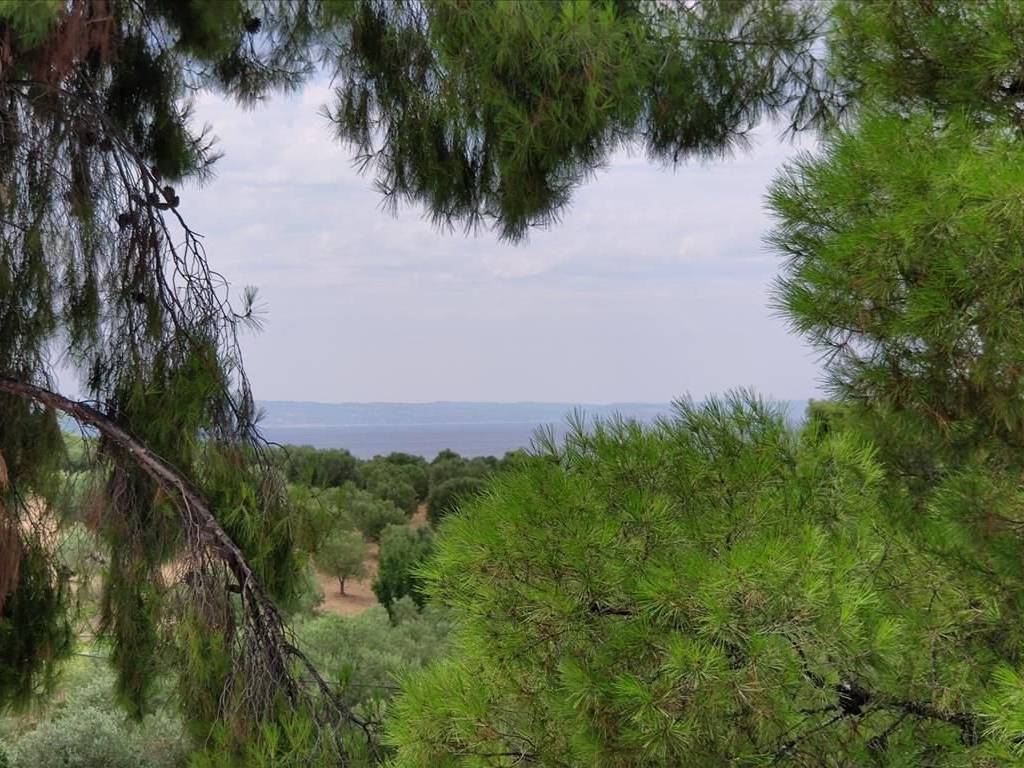 Maisonette - Grekodom 43641|658718