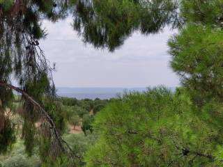 Maisonette - Grekodom 43641|658718