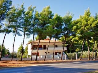 Hotel - Grekodom 24889|330212