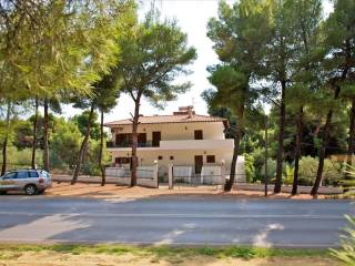 Hotel - Grekodom 24889|330202