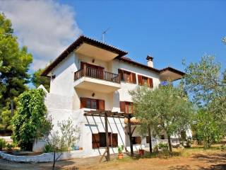 Hotel - Grekodom 24889|330204