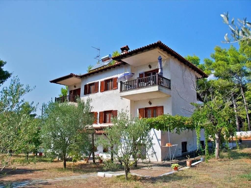 Hotel - Grekodom 24889|330205