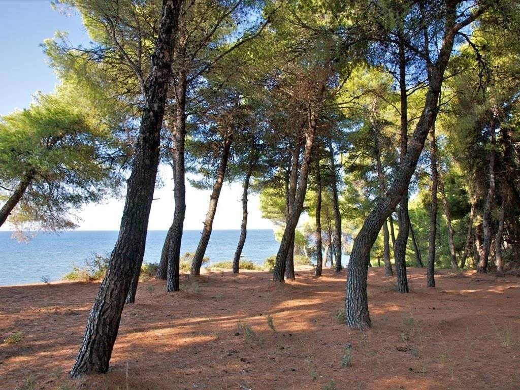 Hotel - Grekodom 24889|330216