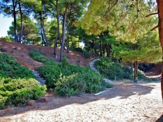 Hotel - Grekodom 24889|330218