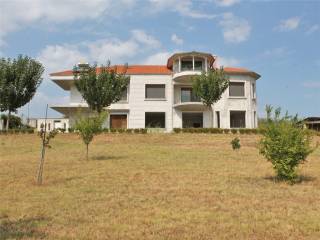Villa - Grekodom 33066|503691