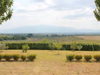 Villa - Grekodom 33066|503673