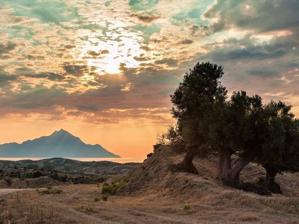 Detached - Grekodom 45369|662021