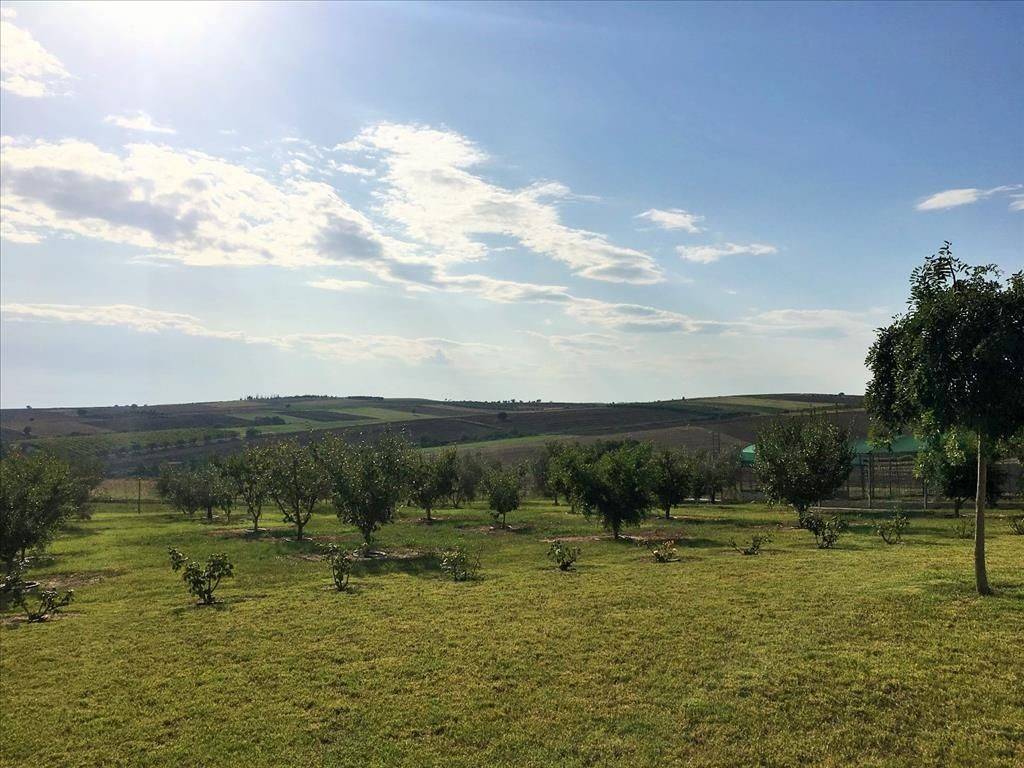 Detached - Grekodom 39649|589732