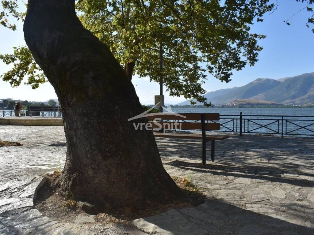 ΠΑΡΑΛΙΜΝΙΟ